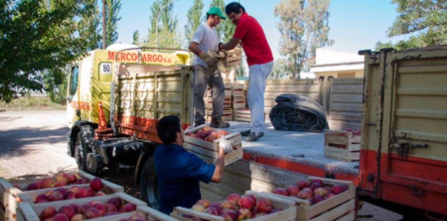 transporte-de-frutas