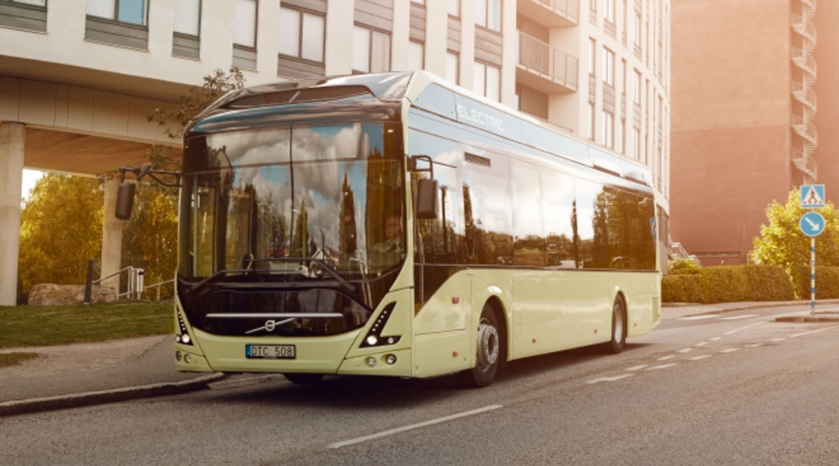 buses