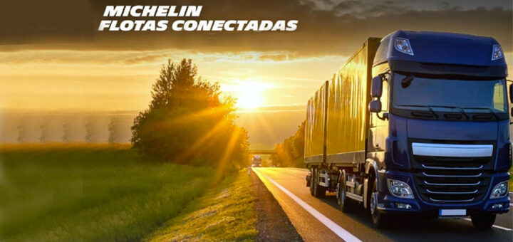 michelin flotas