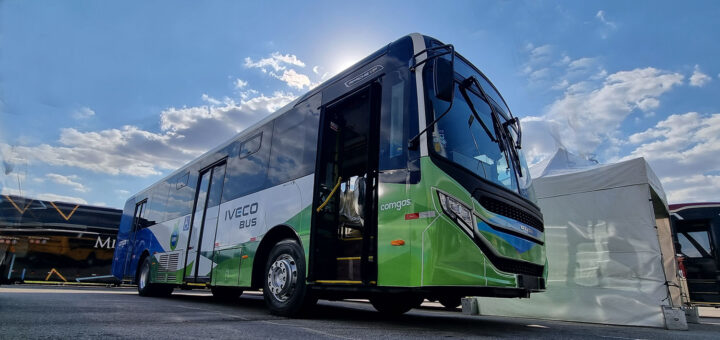 buses iveco
