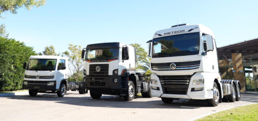 Volkswagen Delivery Constellation y Meteor