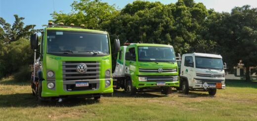 Volkswagen biodiésel vegetal