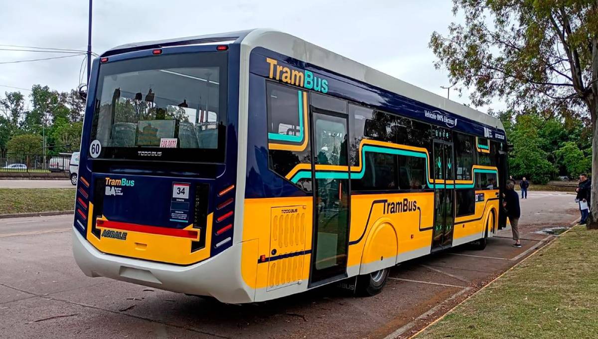 bus electrico