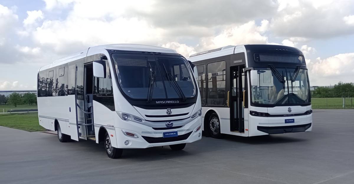 buses